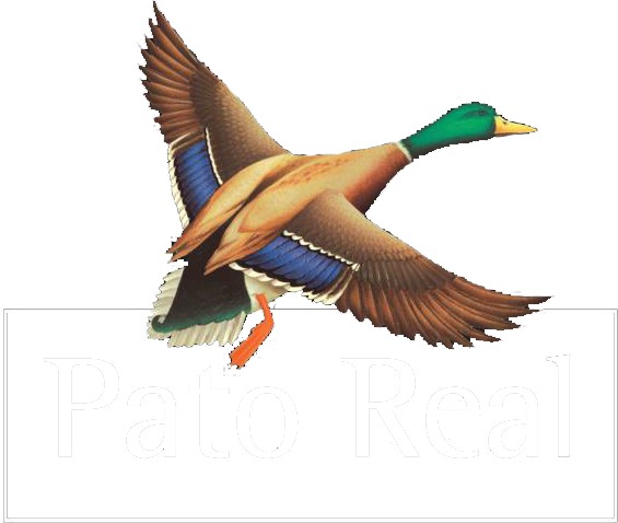 Pato Real